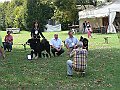 img 230